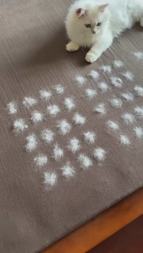 FurEase Mitt – Easy fur removal in seconds